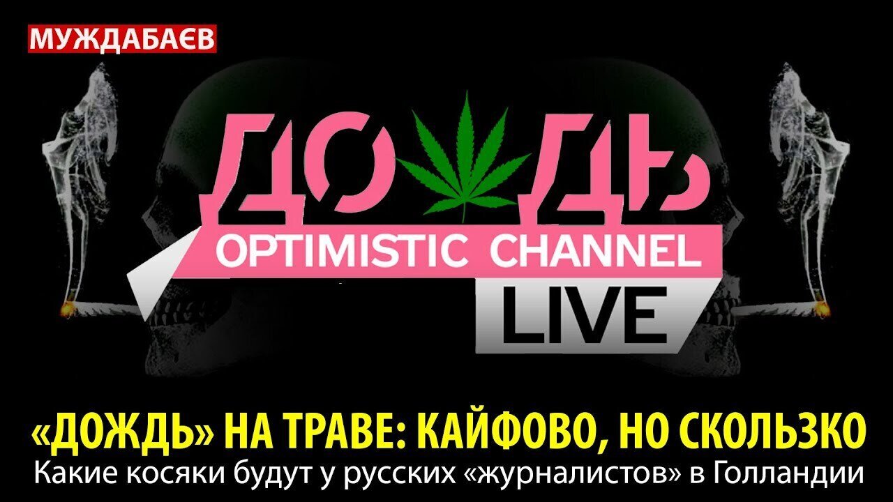 «ДОЖДЬ» НА ТРАВЕ: КАЙФОВО, НО СКОЛЬЗКО. Какие косяки будут у русских «журналистов» в Голландии