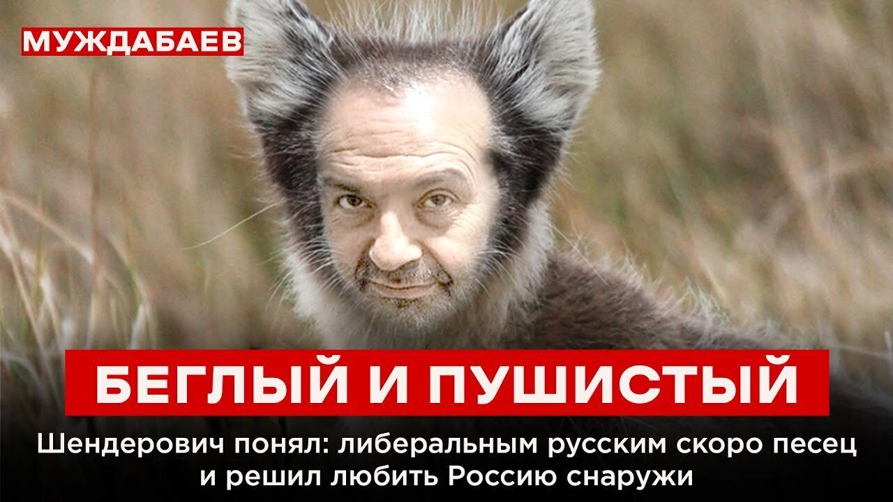 БЕГЛЫЙ И ПУШИСТЫЙ. Шендерович понял: либеральным русским скоро песец — и решил любить Россию снаружи