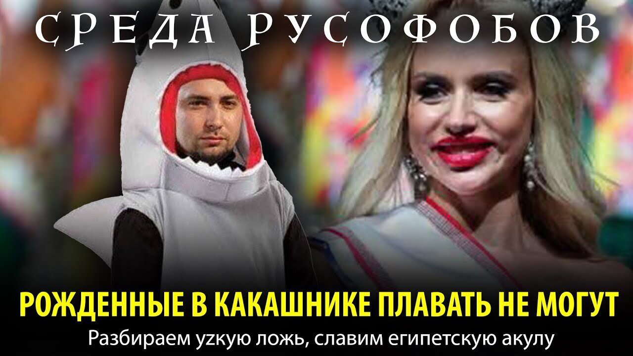 РОЖДЕННЫЕ В КАКАШНИКЕ ПЛАВАТЬ НЕ МОГУТ. Разбираем уzкую ложь, славим египетскую акулу