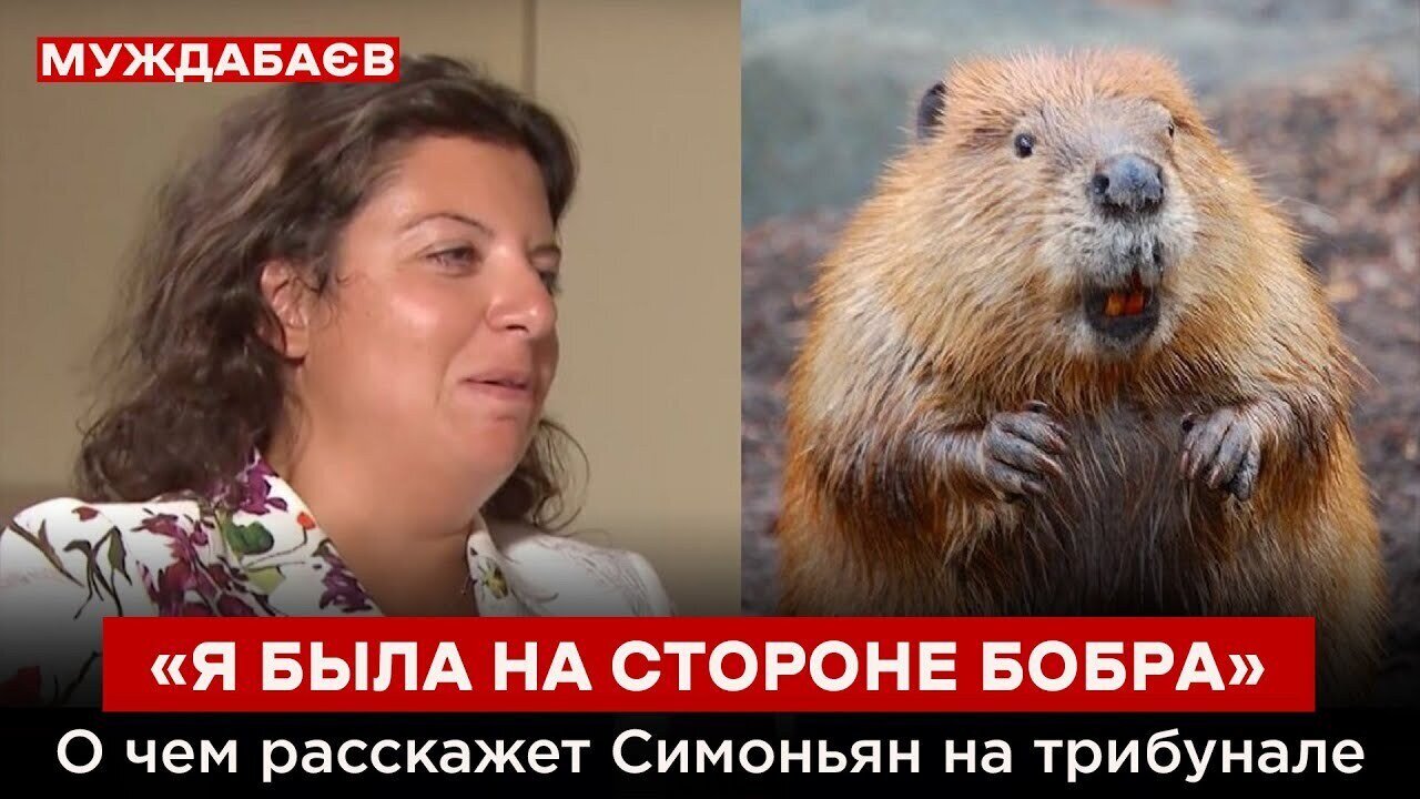 «Я БЫЛА НА СТОРОНЕ БОБРА». О чем расскажет Симоньян на трибунале