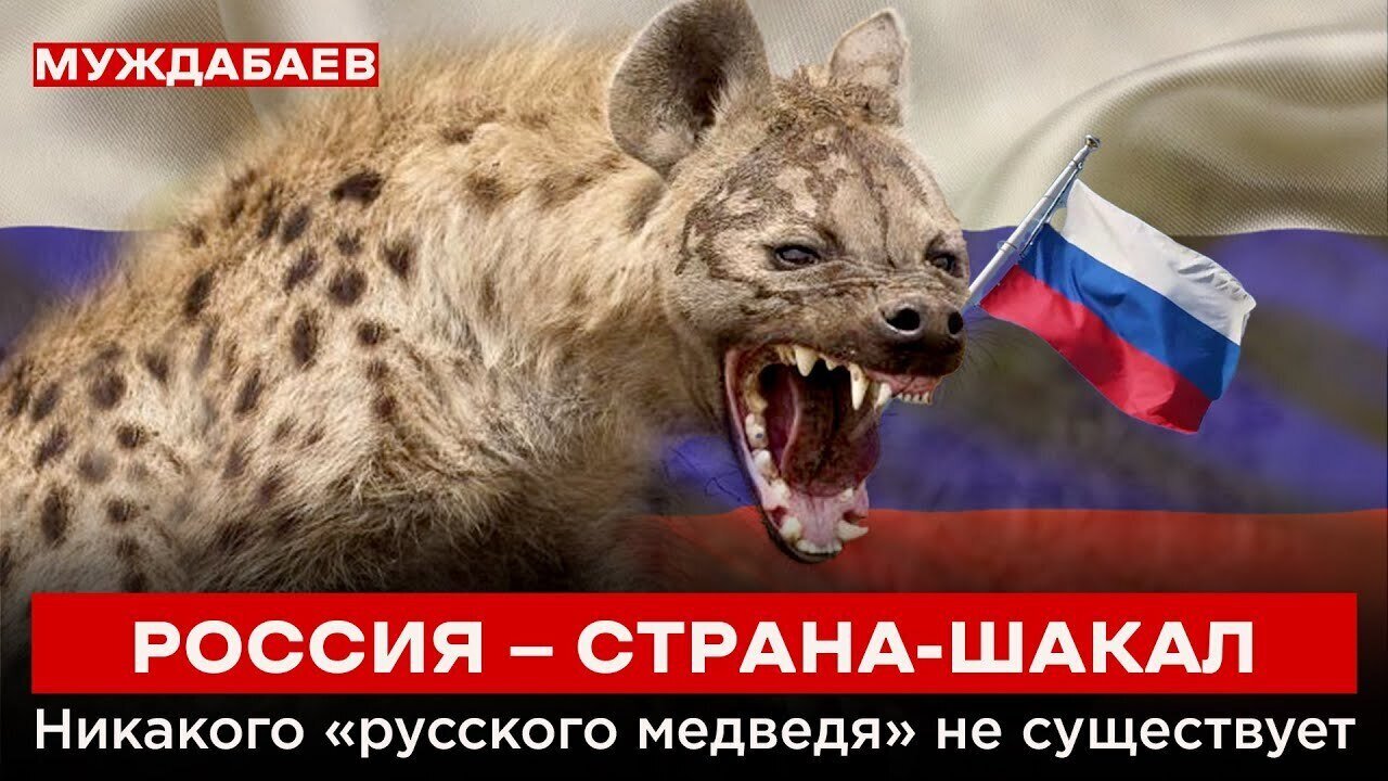 РОССИЯ — СТРАНА-ШАКАЛ. Никакого «русского медведя» не существует