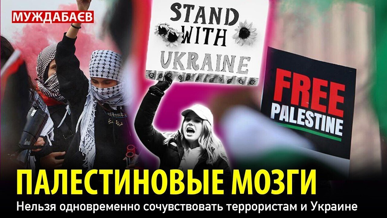 PALESTINIAN BRAIN. You can't sympathize with terrorists and Ukraine at the same time.