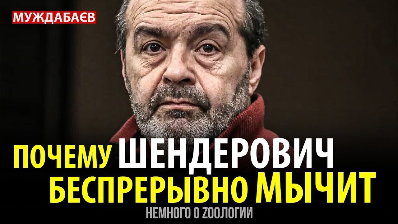 ПОЧЕМУ ШЕНДЕРОВИЧ БЕСПРЕРЫВНО МЫЧИТ. Немного о zоологии