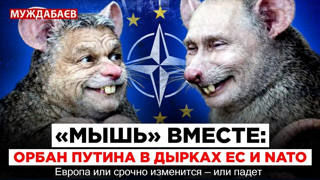 «МЫШЬ» ВМЕСТЕ: ОРБАН ПУТИНА В ДЫРКАХ ЕС И NATO. Европа или срочно изменится — или падет