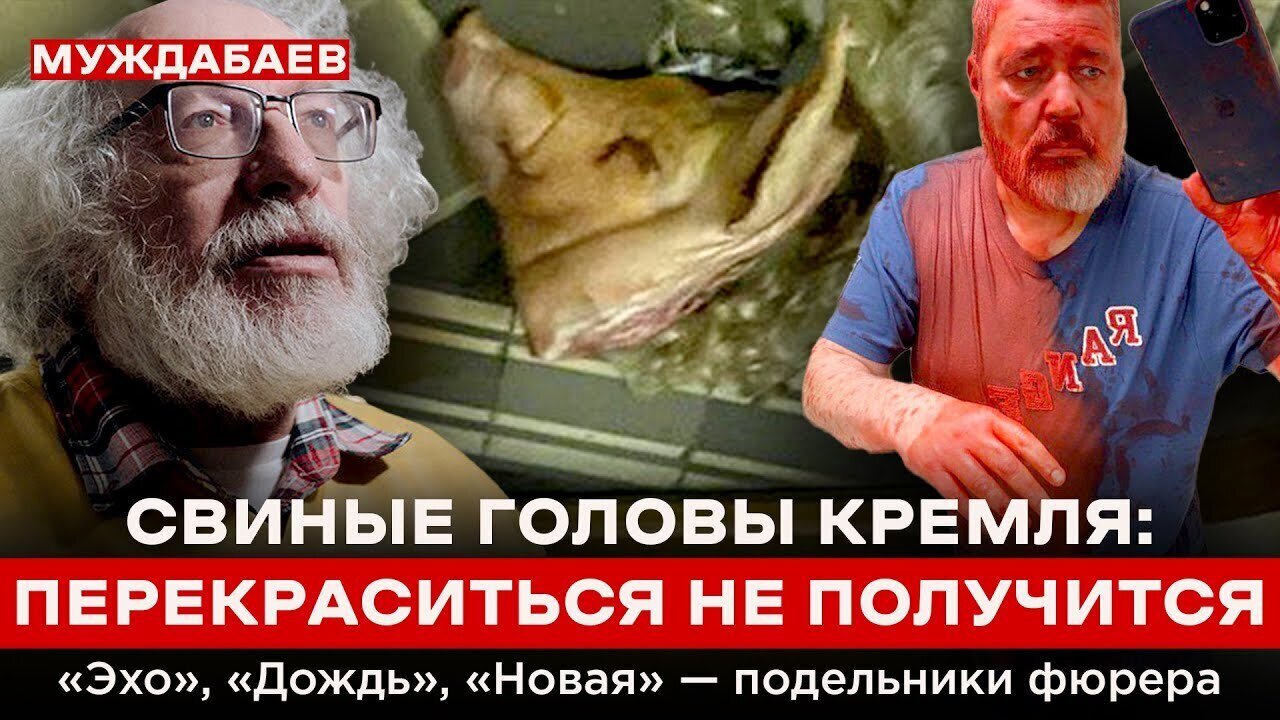 СВИНЫЕ ГОЛОВЫ КРЕМЛЯ: ПЕРЕКРАСИТЬСЯ НЕ ПОЛУЧИТСЯ. «Эхо», «Дождь», «Новая» — подельники фюрера